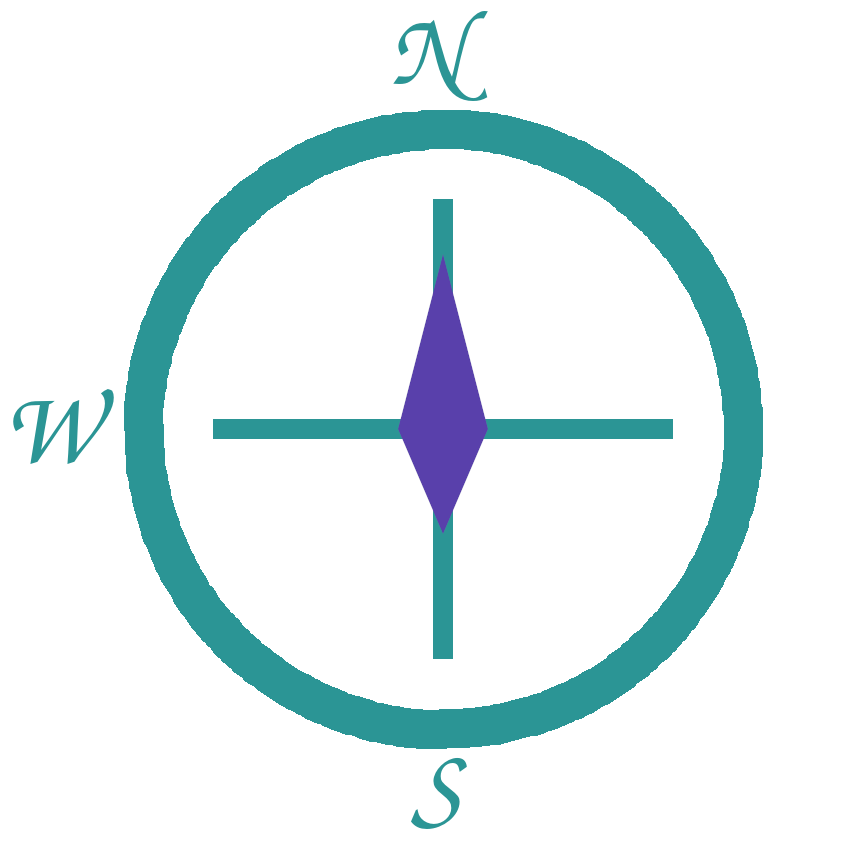 SNW Data Analysis, LLC logo