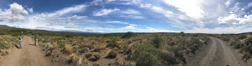 People walk down one leg of a forked path.